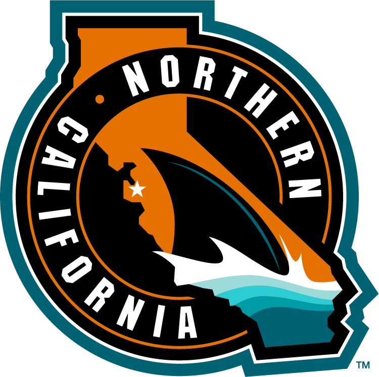 San Jose Sharks 2015 Special Event Logo v2 DIY iron on transfer (heat transfer)